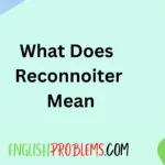 What Does Reconnoiter Mean